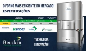 Descrição Forno Crematório Humano BR H350