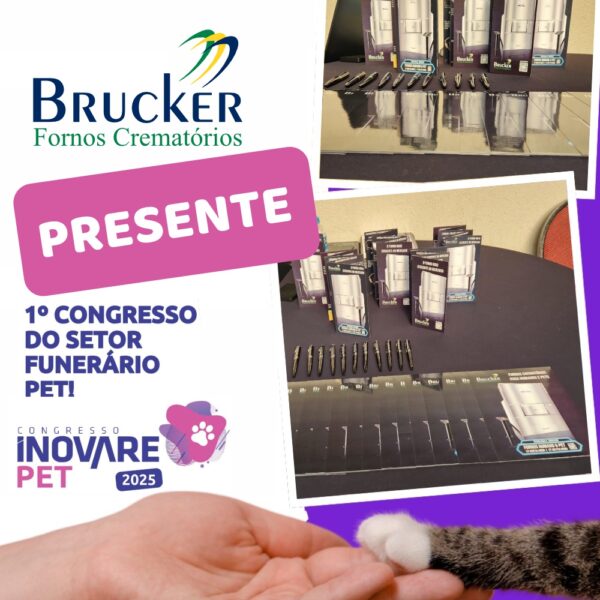 Innovare Pet 2025